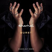 Burst [Wankelmut Remix]