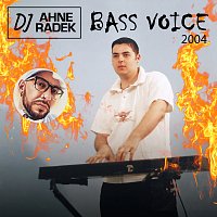DJ Ahne Radek – Bass Voice 2004