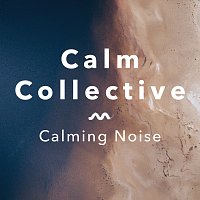 Přední strana obalu CD Calming Noise