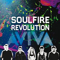 Soulfire Revolution – Aviva