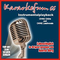 Přední strana obalu CD Lebenslanglich - Instrumental - Karaoke