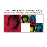 David Cassidy & The Partridge Family – Could It Be Forever - The Greatest Hits