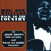 Big Joe Williams – Back To The Country