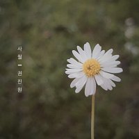 Jin-Won Kwon – April  Blossom