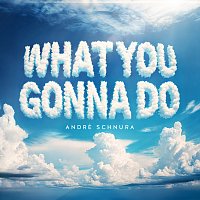 André Schnura – What You Gonna Do