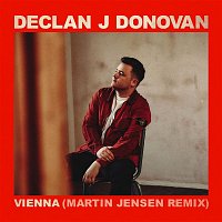 Declan J Donovan – Vienna (Martin Jensen Remix)