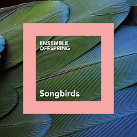 Přední strana obalu CD Songbirds