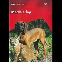 Josef Somr – Madla a Ťap