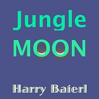 Přední strana obalu CD Jungle Moon