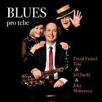 David Vrobel Trio, Jiří Suchý, Jitka Molavcová – Blues pro tebe