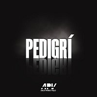 Arce – Pedigrí