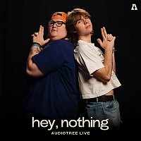 hey, nothing – hey, nothing on Audiotree Live