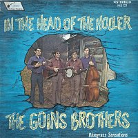 The Goins Brothers – In the Head of the Holler