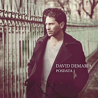 David DeMaría – Posdata