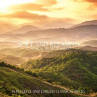Chris Snelling, Nils Hahn, Max Arnald, Chris Mercer, Jonathan Sarlat, Paula Kiete – Soft and Relaxing Classical Music Playlist: 14 Peaceful and Chilled Classical Pieces