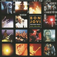 Bon Jovi – One Wild Night 2001