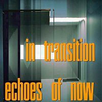 Echoes Of Now – In Transition