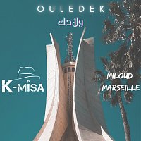 Přední strana obalu CD Ouledek