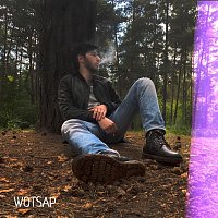 Přední strana obalu CD Палитра