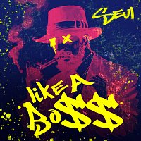 SEUL – likeabo$$