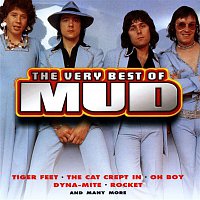 The Very Best Of Mud