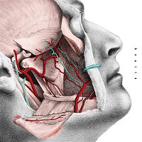 Easy Shen – Anatta