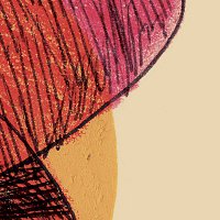 Stefie Shock – LE FRUIT DU HASARD