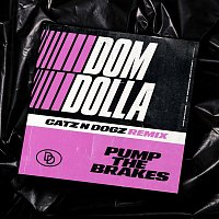 Dom Dolla – Pump the Brakes (Catz 'n Dogz Remix)