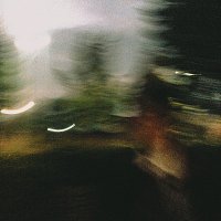 Přední strana obalu CD dalmatian