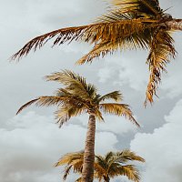 Přední strana obalu CD Chill Out Door