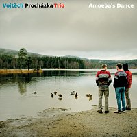 Vojtěch Procházka Trio – Amoeba's Dance