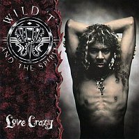 Wild T, the Spirit – Love Crazy
