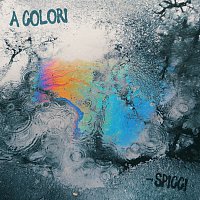 Spicci – A Colori