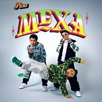 Picus – MEXA