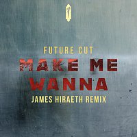 Future Cut, No Guidnce – Make Me Wanna [James Hiraeth Remix]