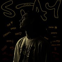 Přední strana obalu CD Stay