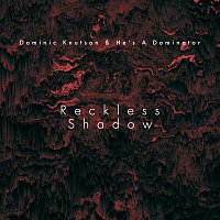 Reckless Shadow