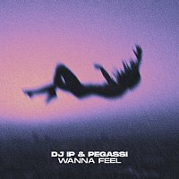 DJ IP, Pegassi – Wanna Feel