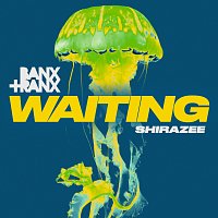 Banx & Ranx, Shirazee – Waiting