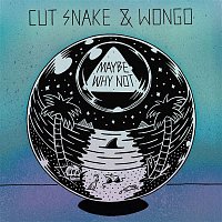 Přední strana obalu CD Maybe Why Not