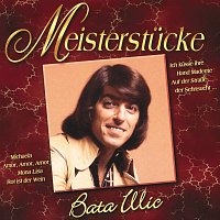 Přední strana obalu CD Bata Illic/Star Gold-Die Grossen Erfolge