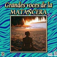 Různí interpreti – Colección de Oro: Grandes Voces de la Matancera, Vol. 3