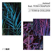 Tom & Collins, Tom Chaplin – Animal