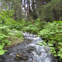 Přední strana obalu CD I Don't Miss U