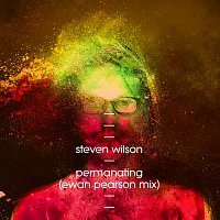 Steven Wilson – Permanating [Ewan Pearson Mix]