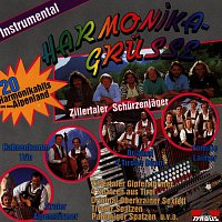 Přední strana obalu CD Harmonikagrusze - Instrumental