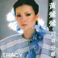 Tracy Huang – Tracy Huang / Zhi You Fen Li