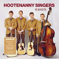 Hootenanny Singers – Musik vi minns