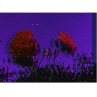 Přední strana obalu CD Circles