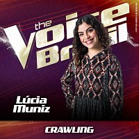 Lúcia Muniz – Crawling [Ao Vivo No Rio De Janeiro / 2019]